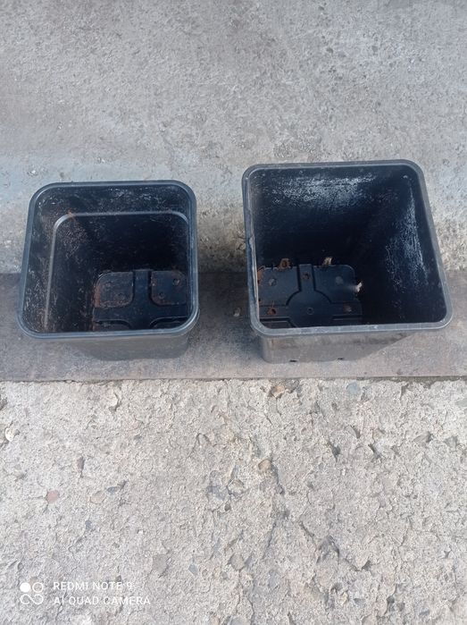 Саксии работни с подложки