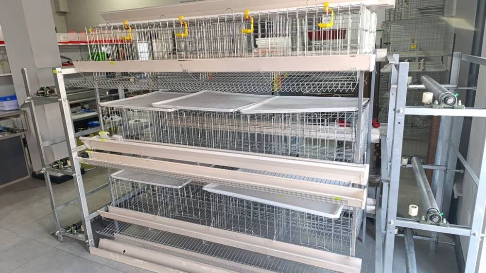 Клетки для кур несушек