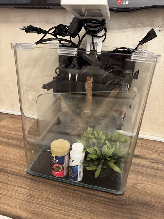 Vând acvariu complet – ideal pentru Betta / creveți / melci