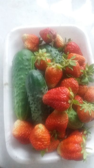 Продам дачу,,Тихая роща,,