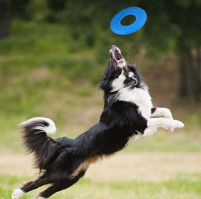 jucarie frisbee flyer cauciuc caini catei