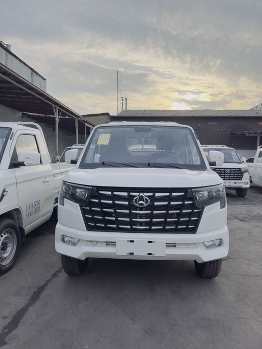 changan star puls 2026