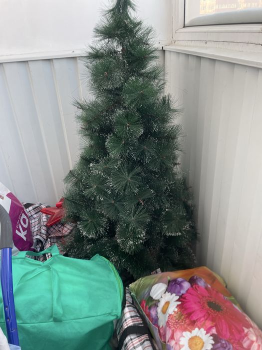 Срочно отдам ёлка