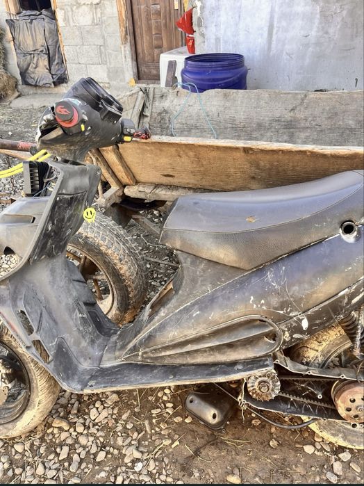 vand malagutti defect urgent