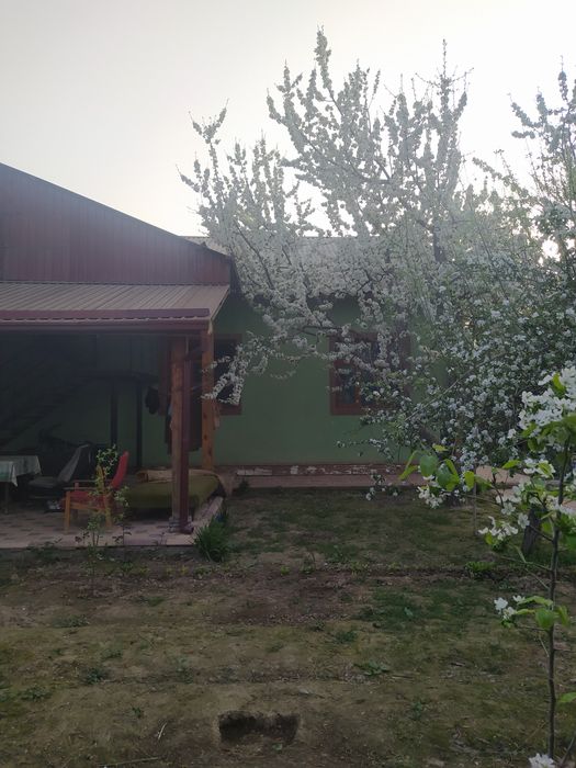 Продается  3-х комнатный кирпичный дом в городе Алмалык