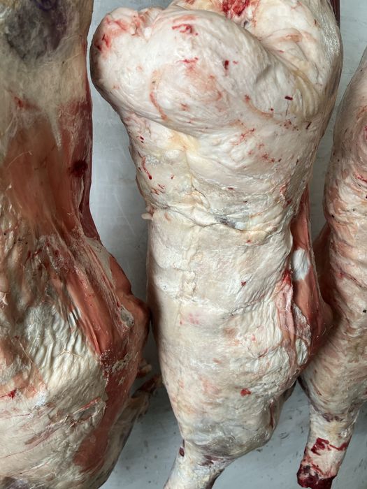 Продам мясо баранина упитанные