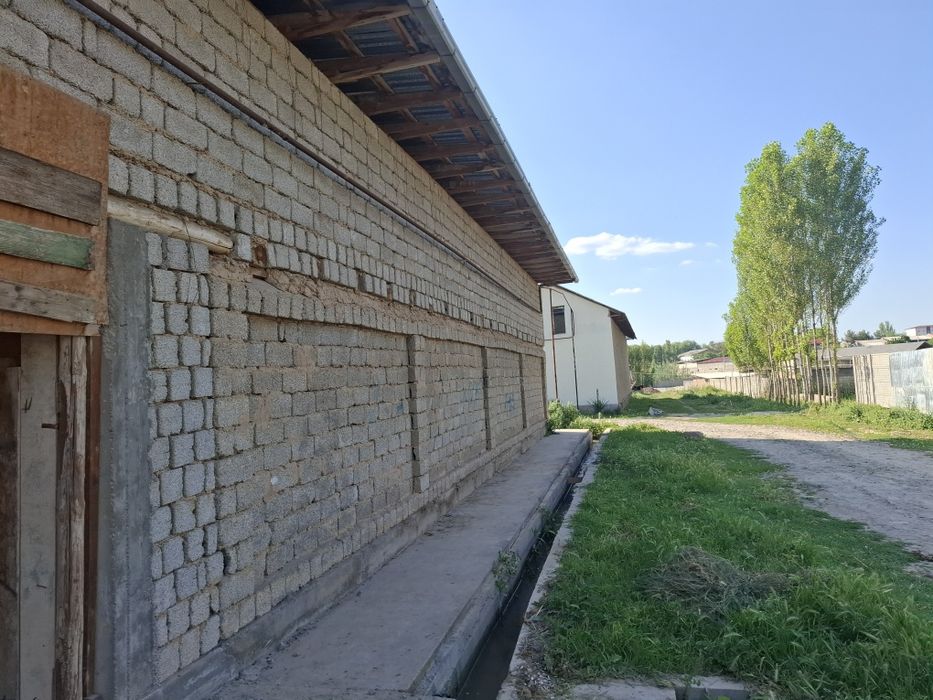 Буз сувда ховли ферма коробка