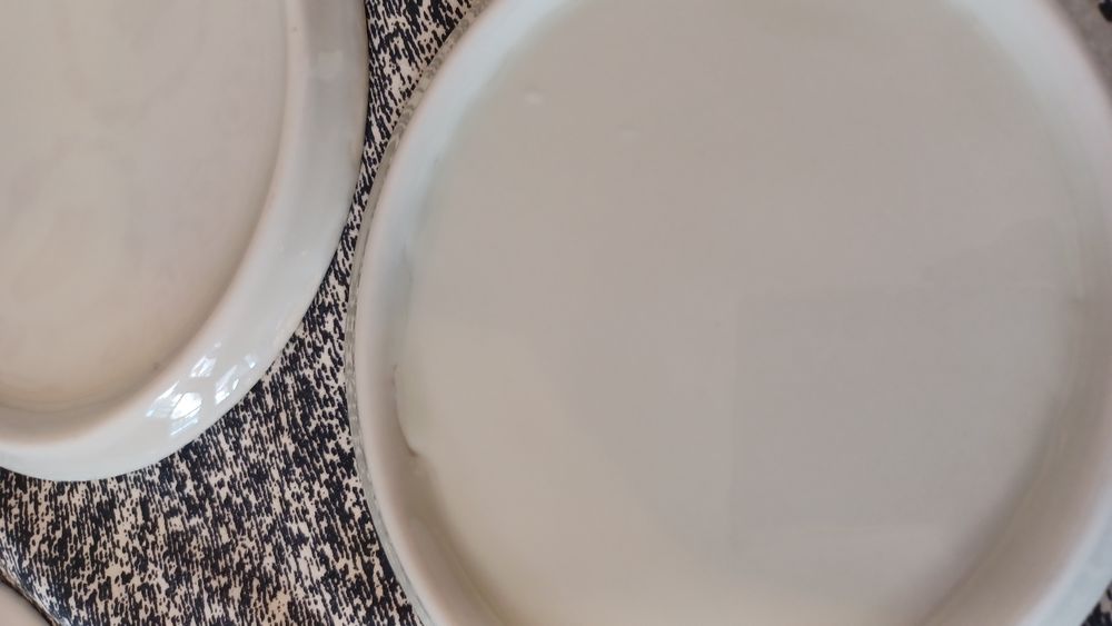 Ceramica pt foto - faianta