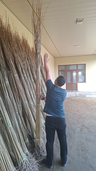 Терак кучатлари келишилган нархда