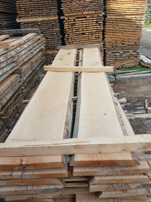 Cherestea netivita fag, bustean gater fag