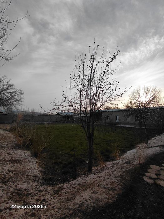 Шофирконда уй сотилади