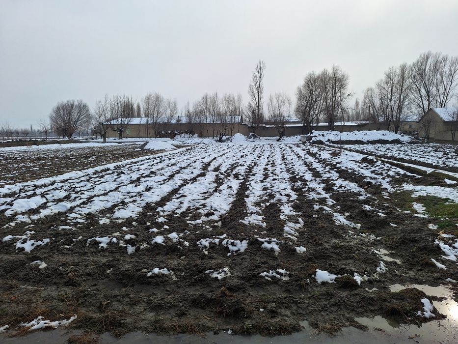 Tayyor yashash uy Hovlisi bilan srochni sotiladi