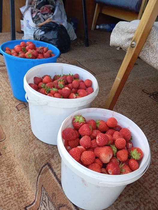 Продам дачу 18 маршрут второе общество