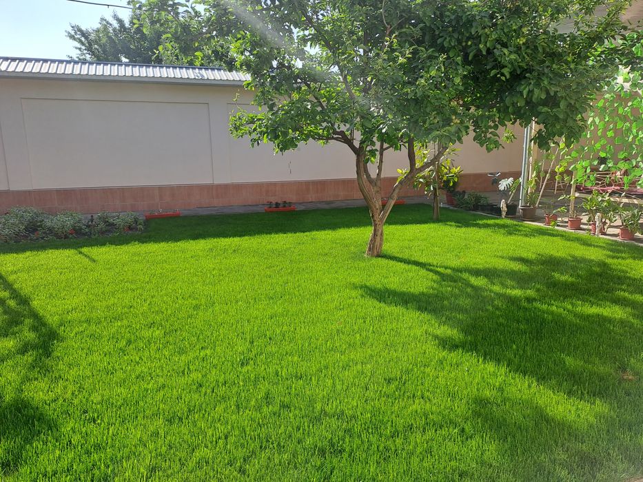 Газон ва автополив