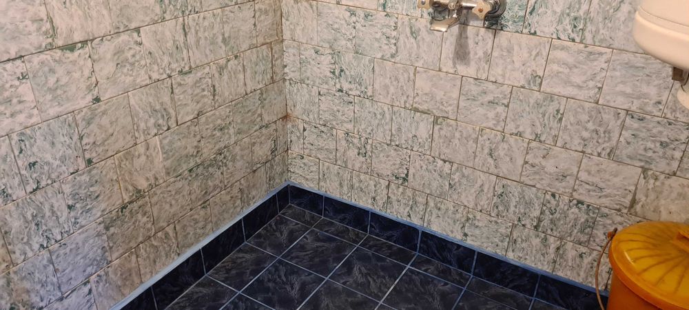 Продавам къща с двор в село Ботуня, на 20 км от гр. Враца.