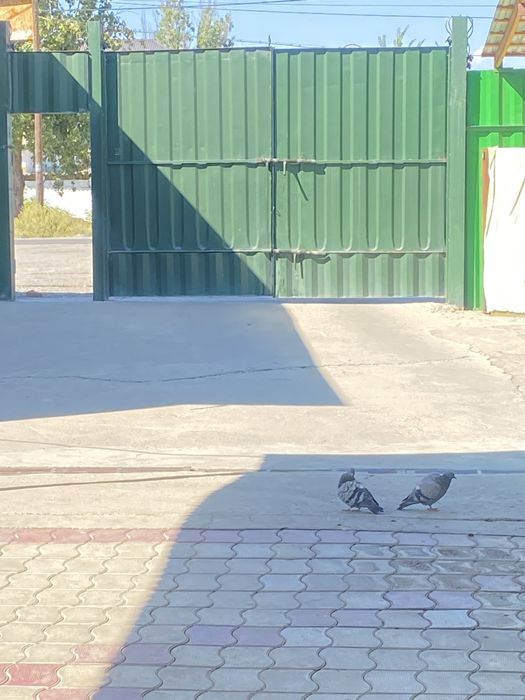 Продается дом в центре города