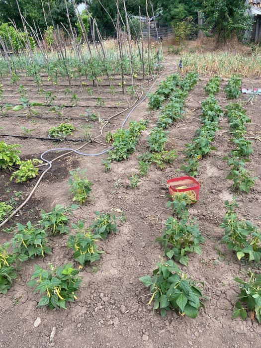 Vând casa cu teren la țară