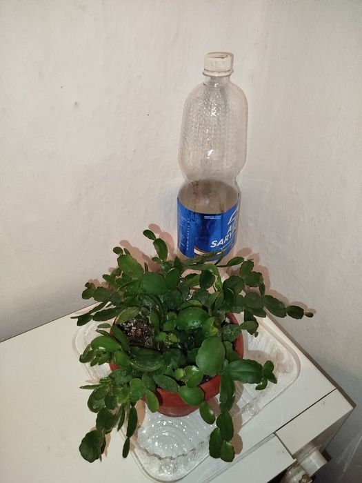 Продам  -доллар и другие