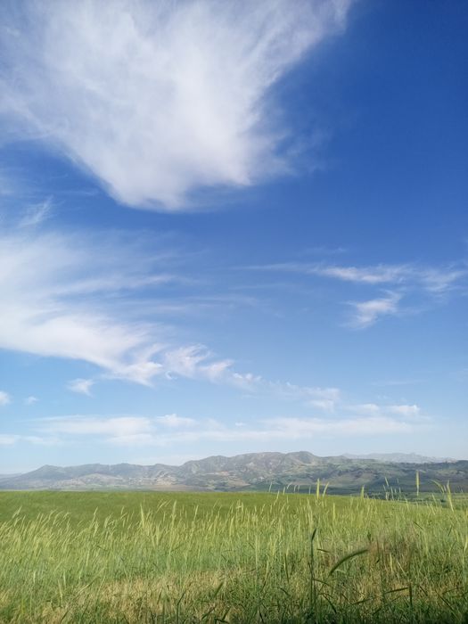 See Crvgbjnjbhvfcfcgbhb