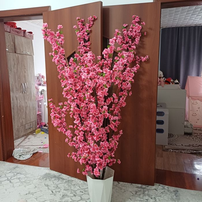 Красивые деревья Сакуры