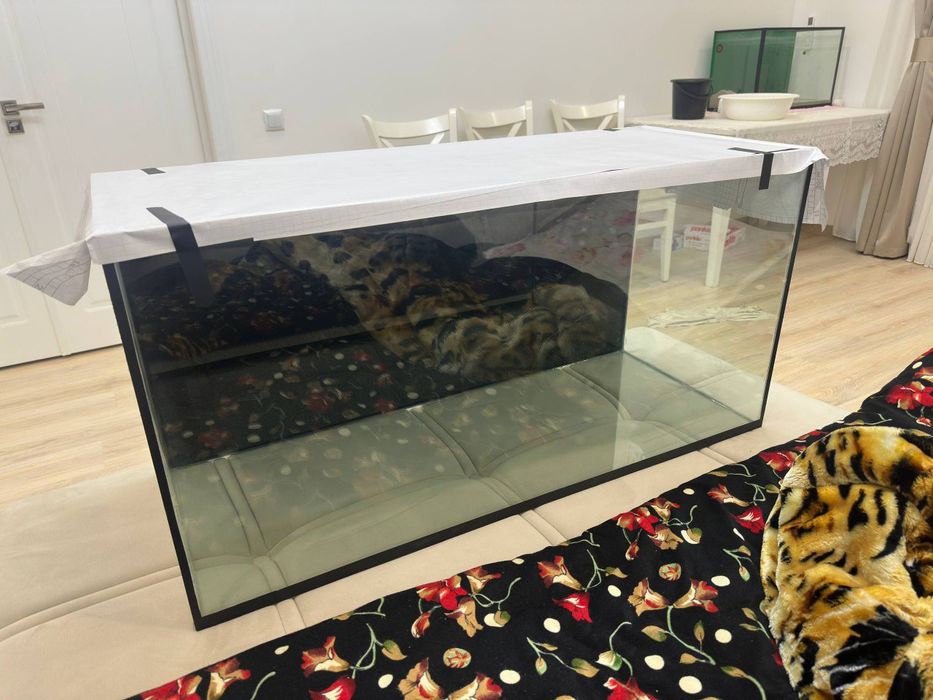 Akvariumlar sotiladi