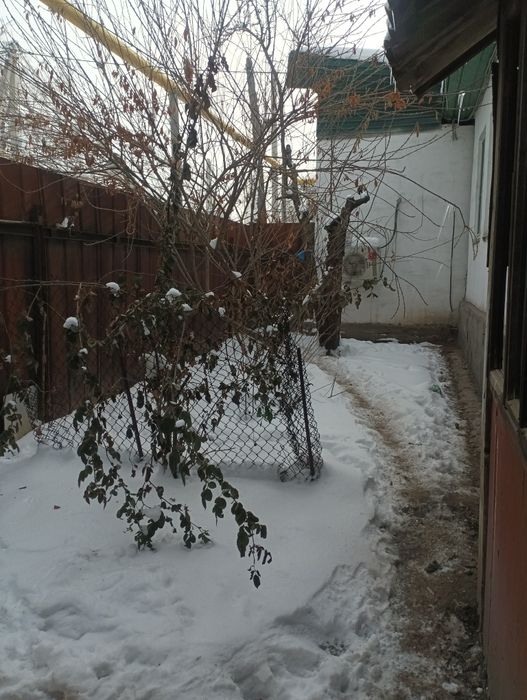 Продажа дом+магазин Талгар