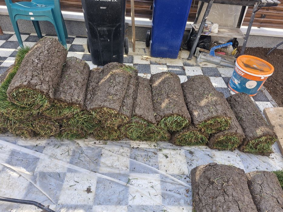 Ofer servicii de amenajări și întreținere grădini.