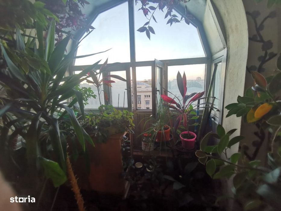 Apartament 2 Camere/Kogalniceanu/Facultatea de Drept/Risc 1