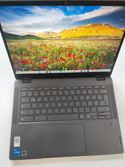 Лаптоп 2 in 1 Lenovo IP Flex 5 Chrome 14IAU7, 14" WUXGA IPS Touch Scre