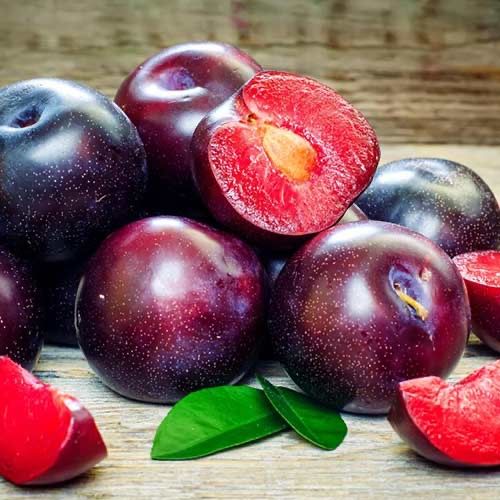 Soiuri pruni rezistenti la ger