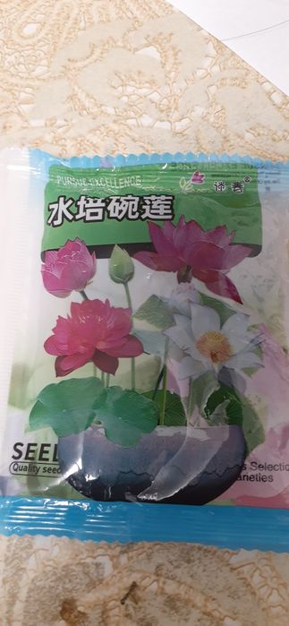 Кувшинки (семена )Алоэ вера, каланхоэ.