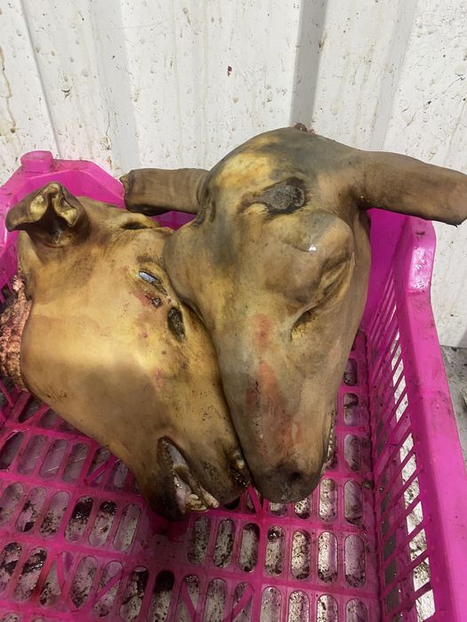 (Айтей-Каскелен) Бойня 54321