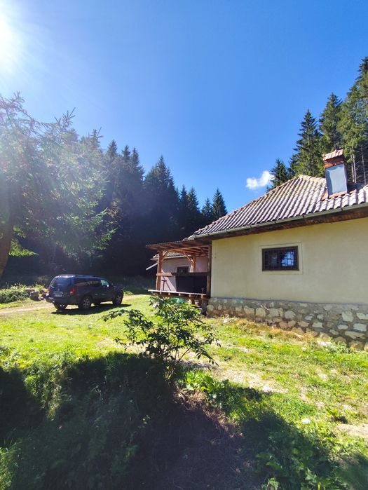 Izolat în Piatra Craiului