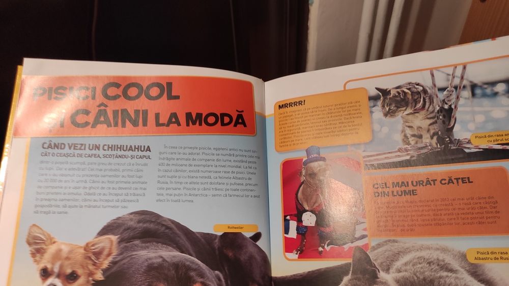 National Geographic Kids - totul despre animale de companie