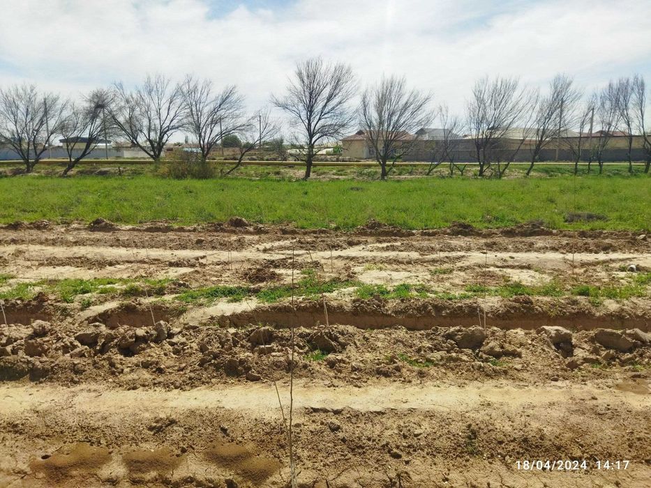 Tez kunda 2 sotixli yer maydoni arzon narxda sotiladi