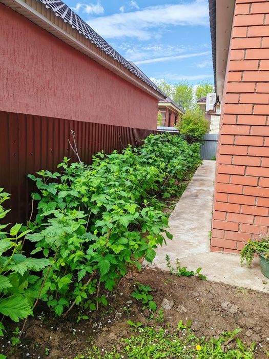 Недвижимость. Частный дома. Продажа