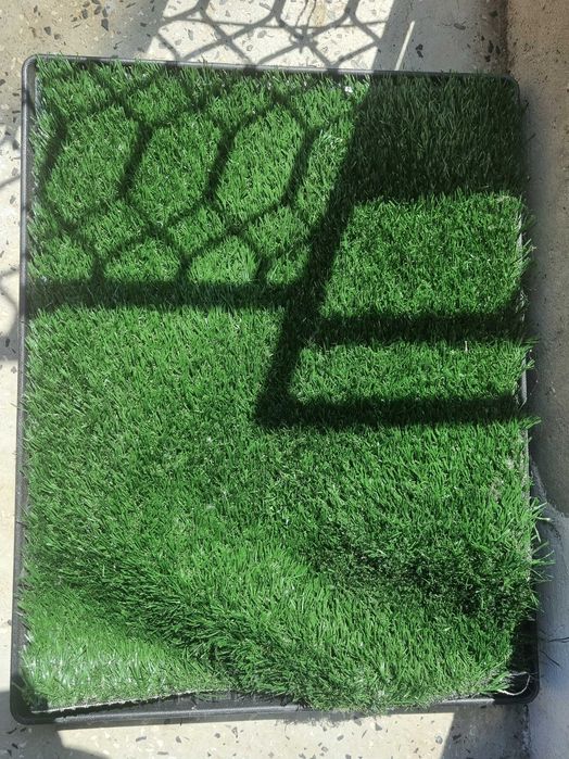 Кучешка тоалетна