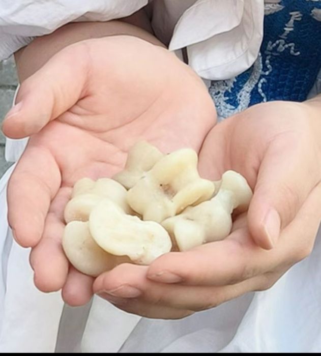 Асық пластиковый