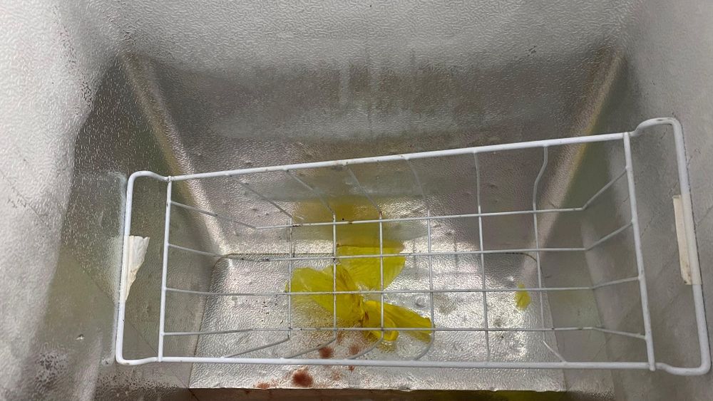 Марозилник жақсы жағдайда