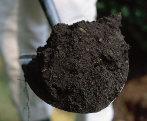 Горный чернозем в мешках