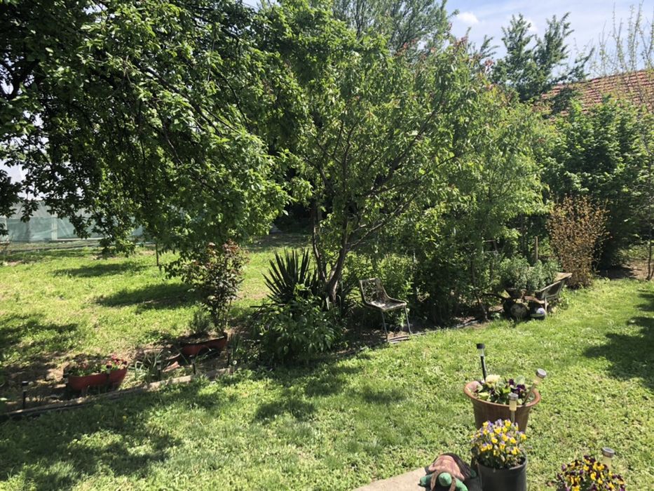 Продава се Промишлена сграда в с. Хаджиево, Област Пазарджик - 3720 кв.м за 54 €/кв.м - Снимка #3