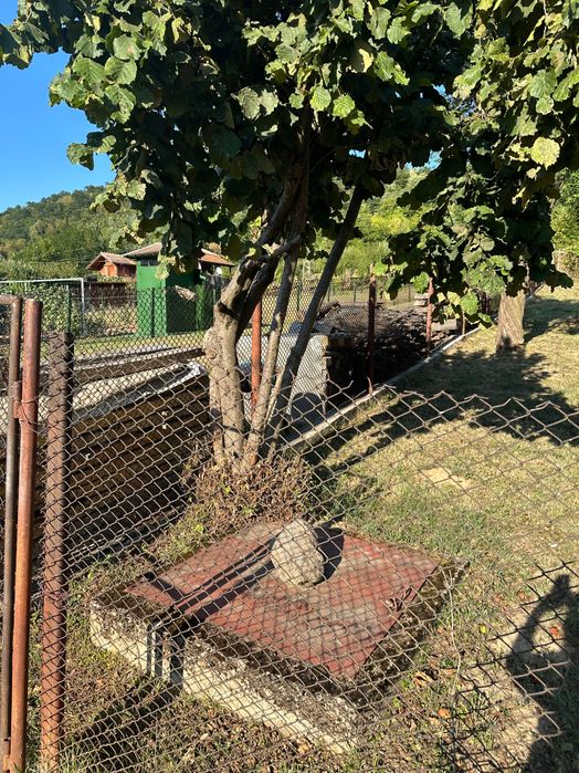 Продава се Парцел в Габрово, Център - 800 кв.м за 19 €/кв.м - Снимка #1