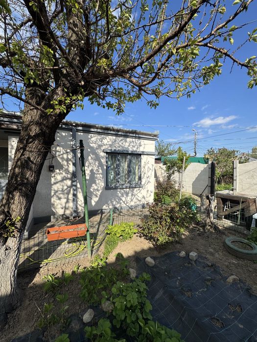 Vand casa zona Islaz Autogara