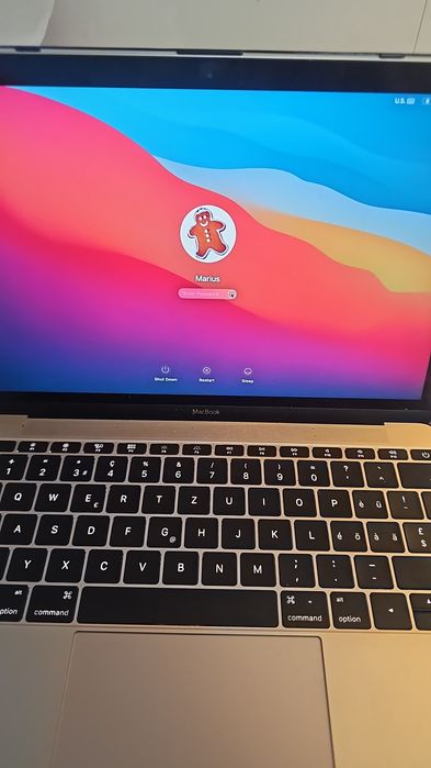MacBook (Retina, 12-inch, Early 2015) cu sistemul de operare macOS Big