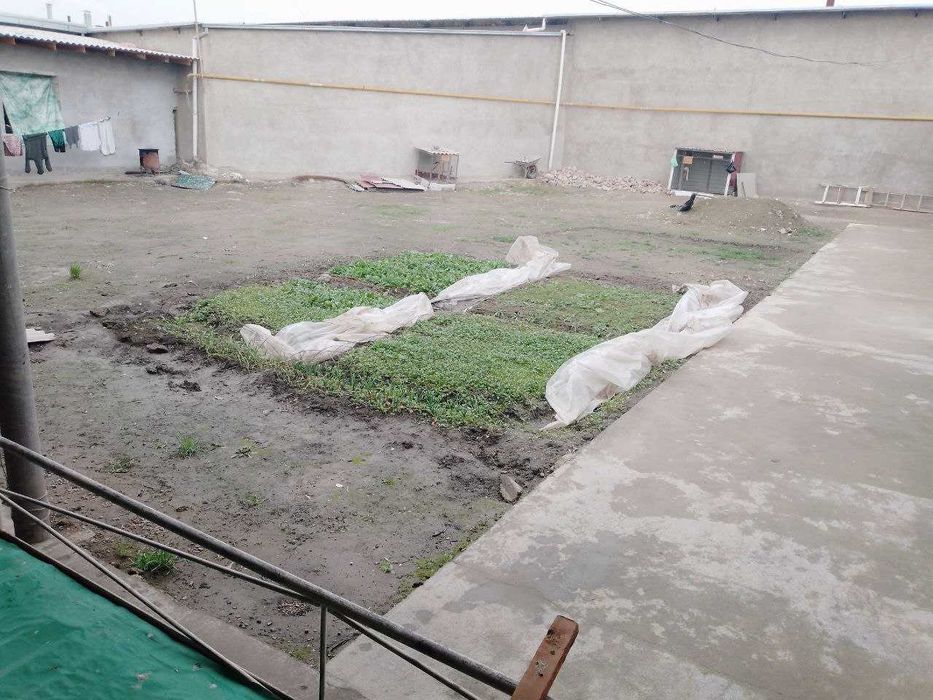 Уй сотилади авангaрда