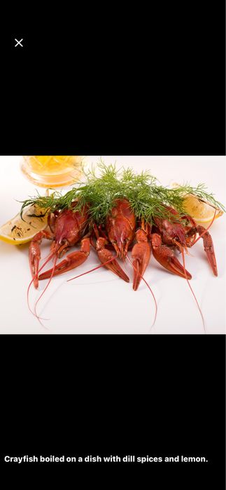 Живые и вареные раки