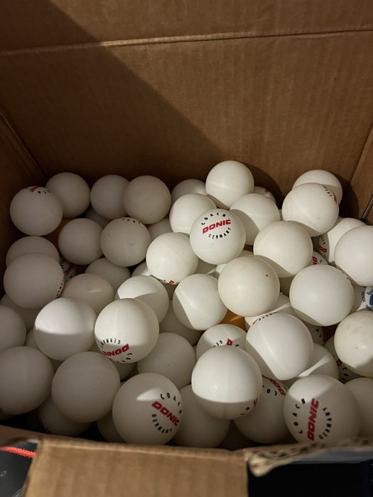 Donic mingii de antrenament