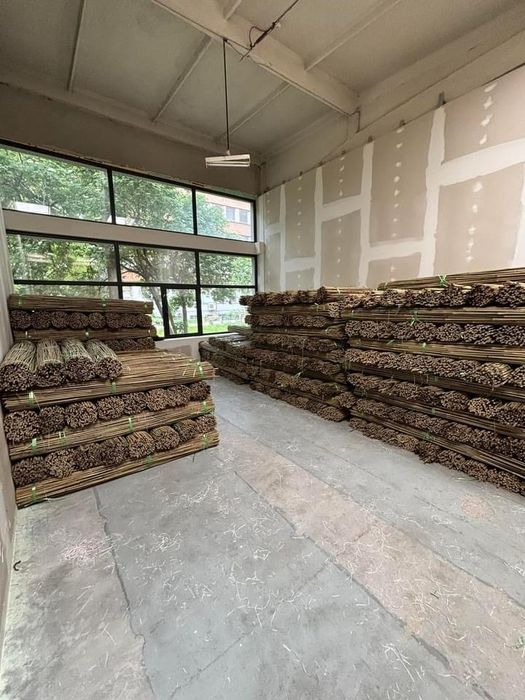 Колчета за укрепване на домати от БАМБУК естествени НА ПРОМОЦИЯ!