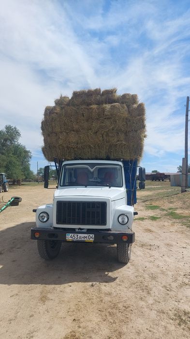 Шоп ( Сено ) 800тг