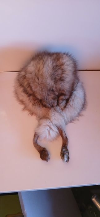 Căciuli din blană naturală